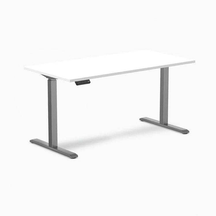 Desky Single Sit Stand Desk
