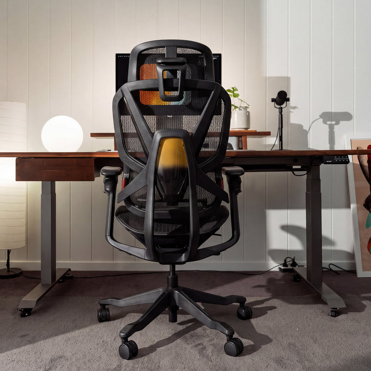 Desky Contourra Ergonomic Mesh Chair