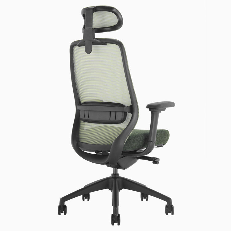 Coilflex chair with lumbar support in green - Desky