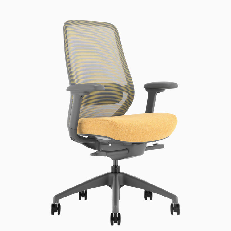 Desky Coilflex Ergonomic Office Chair