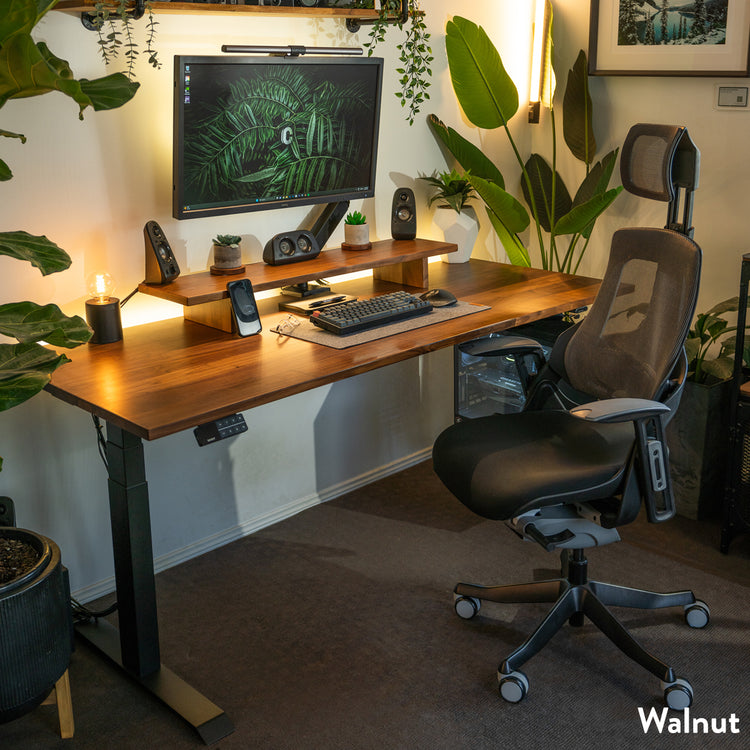 Desky Dual Walnut Hardwood Sit Stand Desk