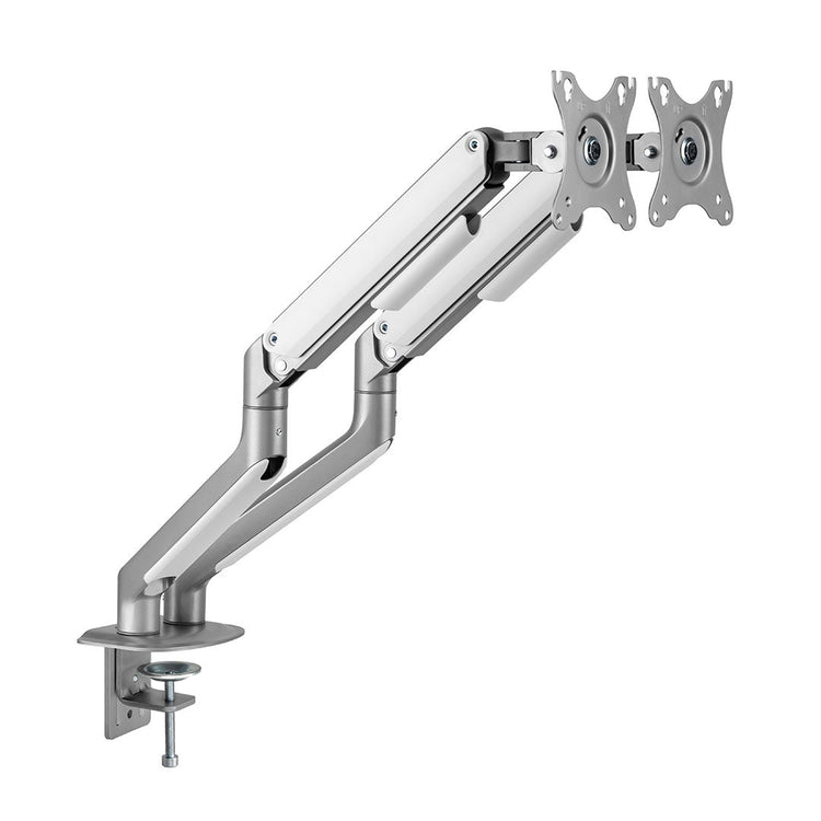 dual screen adjustable spring arm