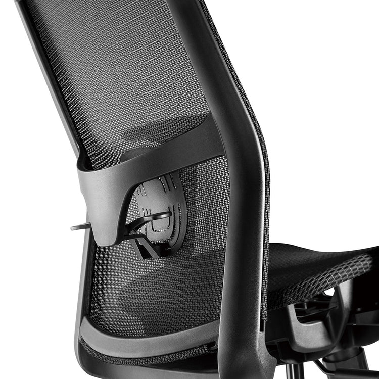 ergonomic office chair lumbar support