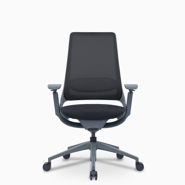 Desky Pulse Supportive Desk Chair back view