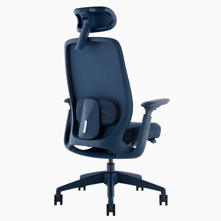 Desky Sereno Ergonomic Office Task Chair