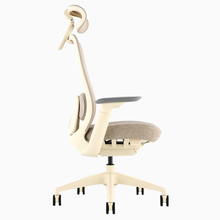 Desky Sereno Ergonomic Office Task Chair