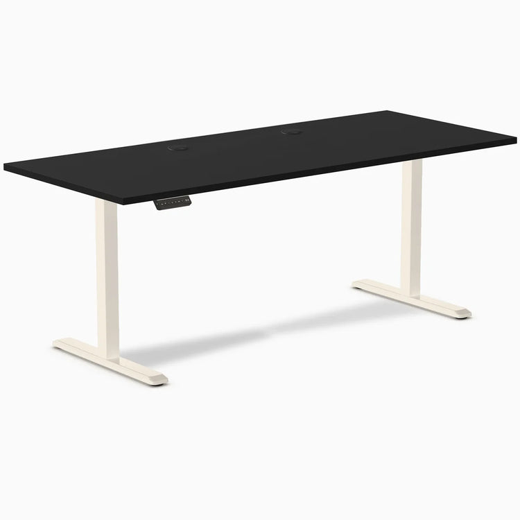 Desky Single Sit Stand Desk