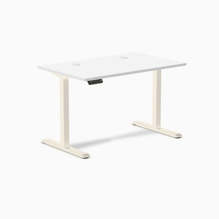Desky Single Sit Stand Desk