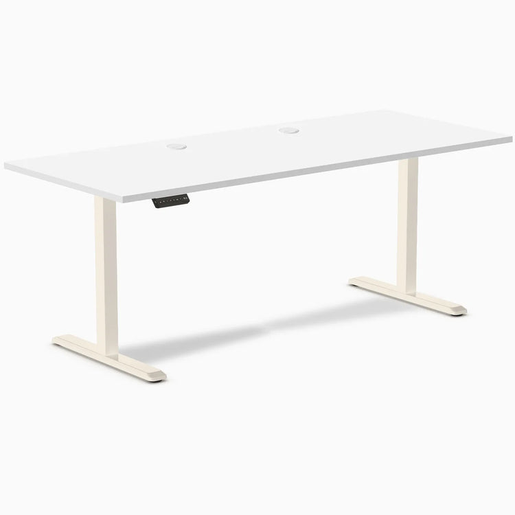 Desky Single Sit Stand Desk