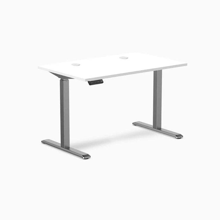 Desky Single Sit Stand Gaming Desk