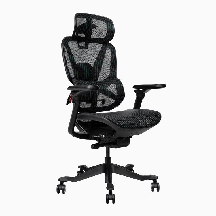 Desky Contourra Ergonomic Mesh Chair