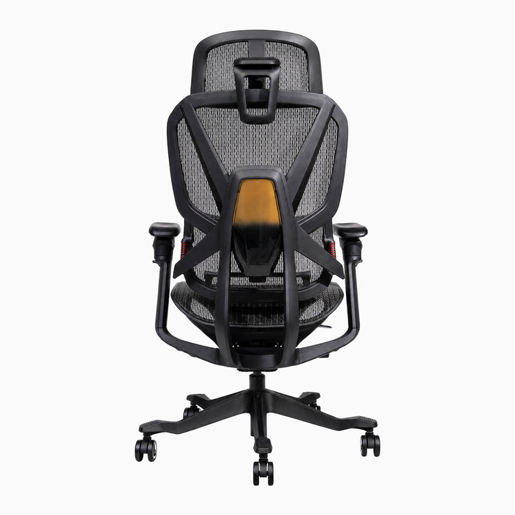Desky Contourra Ergonomic Mesh Chair