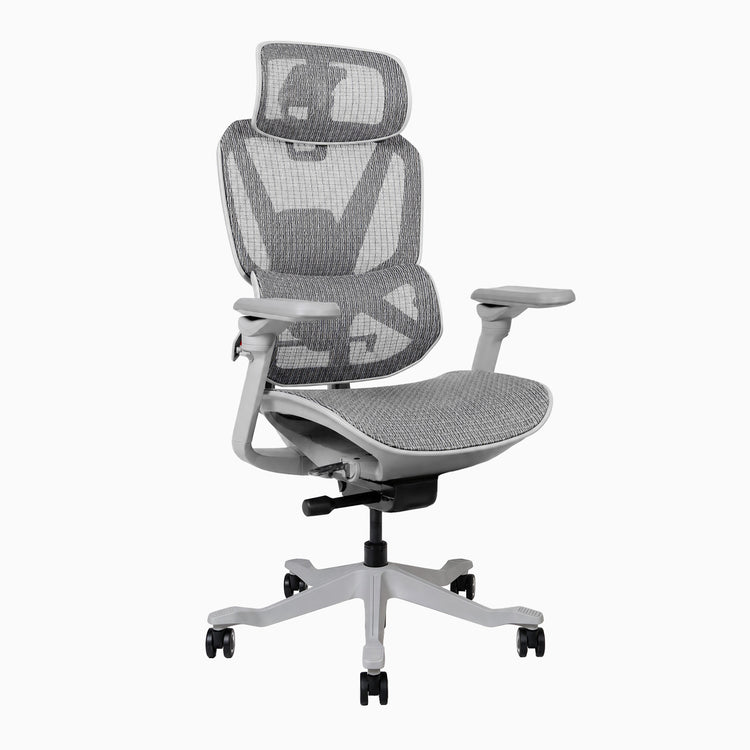 Desky Contourra Ergonomic Mesh Chair