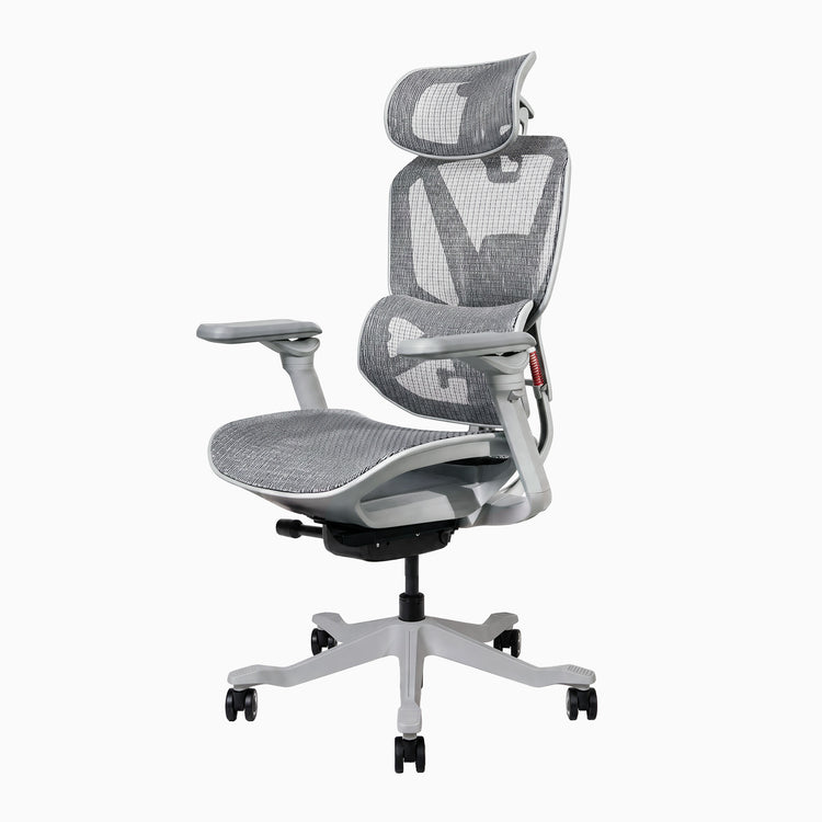 Desky Contourra Ergonomic Mesh Chair
