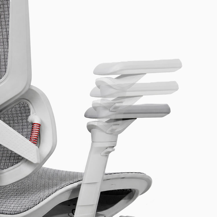 Desky Contourra Ergonomic Mesh Chair