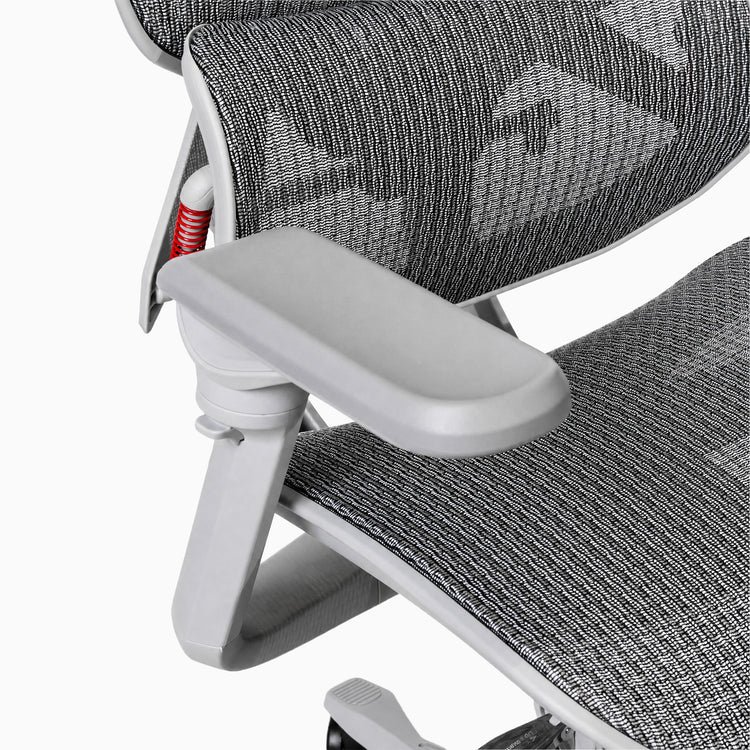 Desky Contourra Ergonomic Mesh Chair