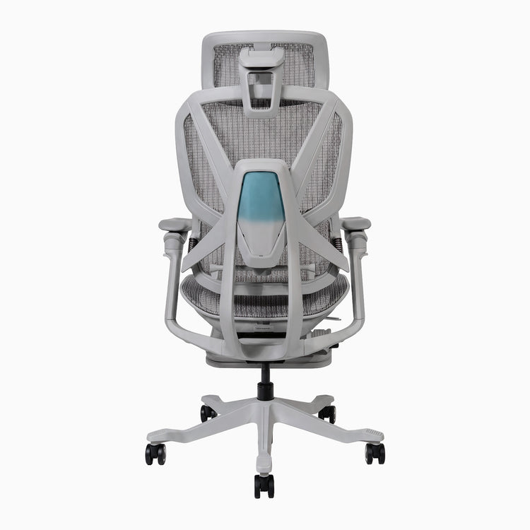 Desky Contourra Ergonomic Mesh Chair