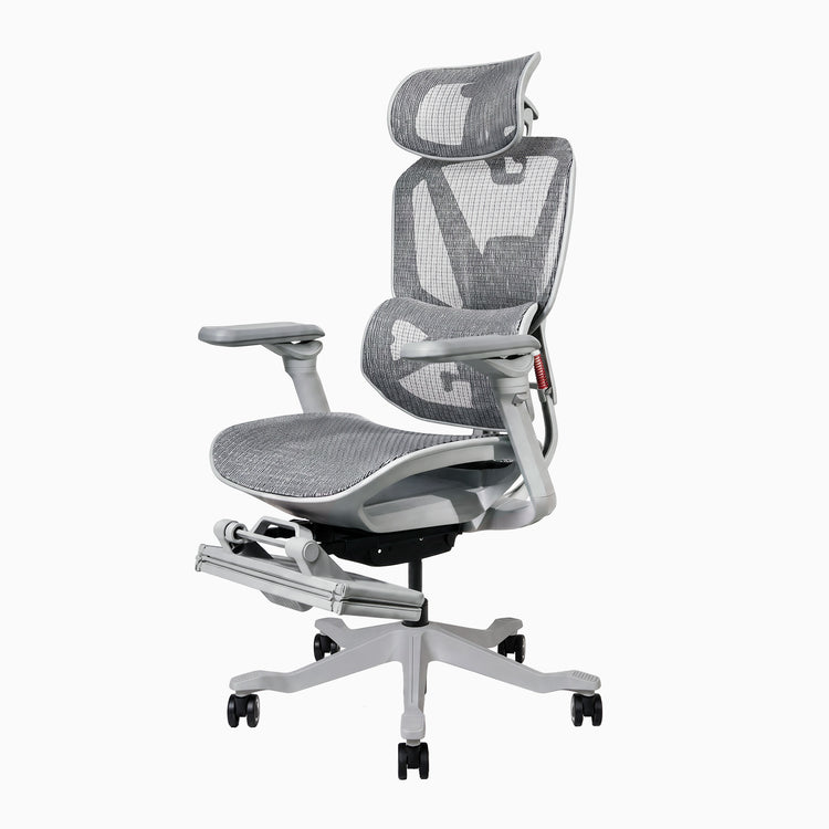 Desky Contourra Ergonomic Mesh Chair