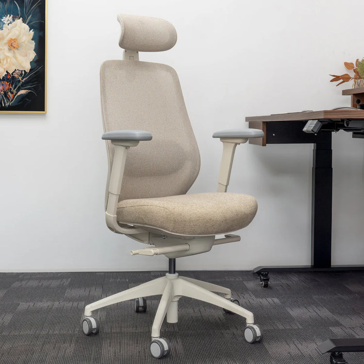 Desky Coilflex Ergonomic Office Chair