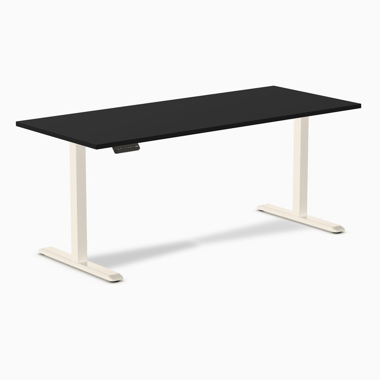 Desky Single Sit Stand Desk