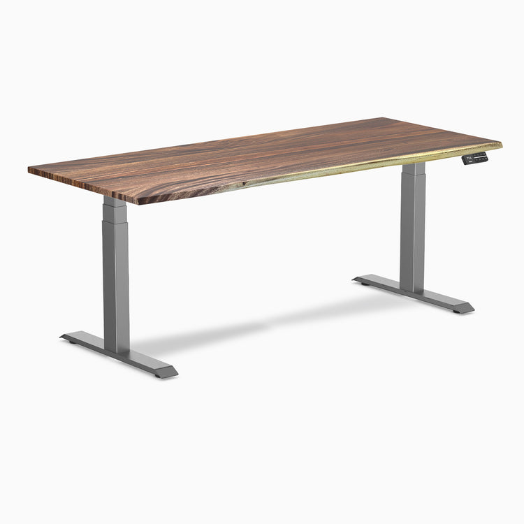 Dual motor standing desk hardwood saman - Desky