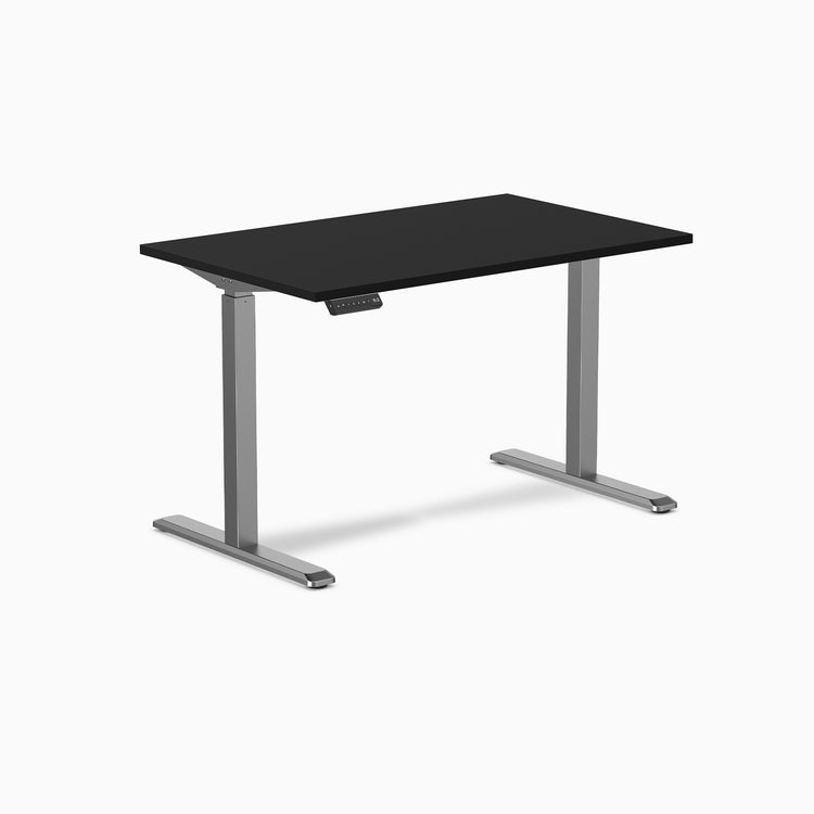 Desky Single Sit Stand Gaming Desk