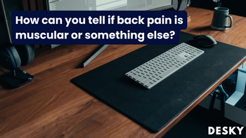 How can you tell if back pain is muscular or something else?