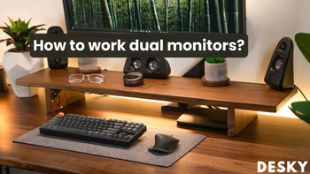 how to work dual monitors