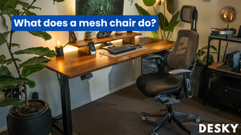 What does a mesh chair do?