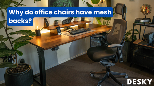 Why do office chairs have mesh backs?