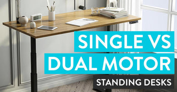 single motor vs dual motor standing desk