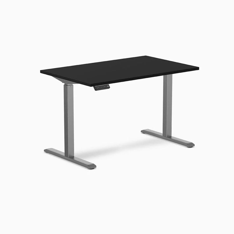 Desky Single Sit Stand Gaming Desk