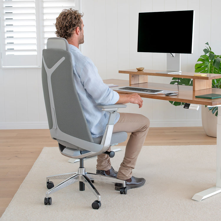 Ergonomic executive office chair - Desky