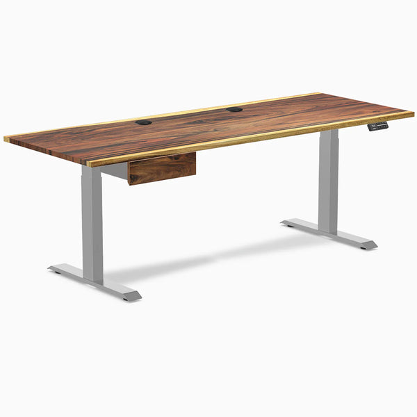 Desky Dual Hardwood Standing Desk With Drawer, Saman desktop, Gray frame