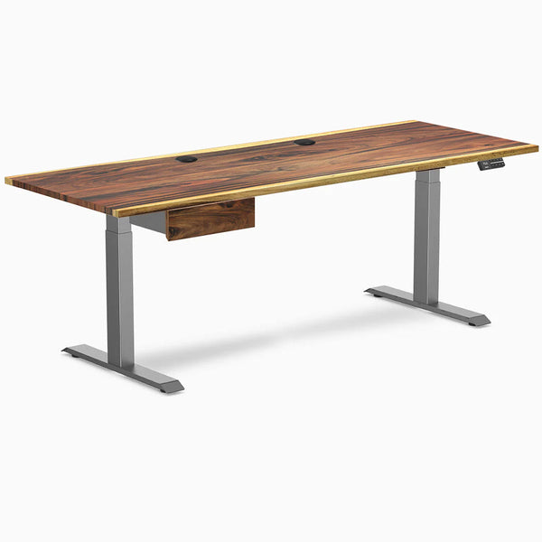 Desky Dual Hardwood Standing Desk With Drawer, Saman desktop, Space Gray frame