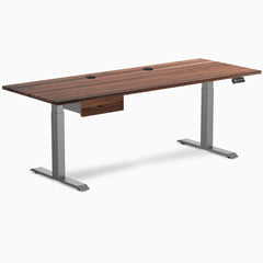 Desky Dual Hardwood Standing Desk With Drawer, Walnut desktop, Space Gray frame