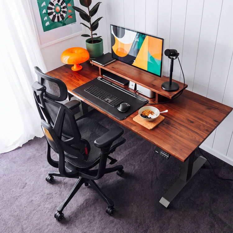 Desky Contourra Ergonomic Mesh Chair