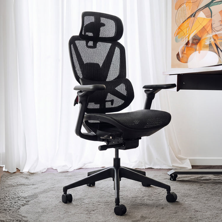 Desky Contourra Ergonomic Mesh Chair