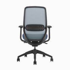 Blue ergonomic coilflex chair 