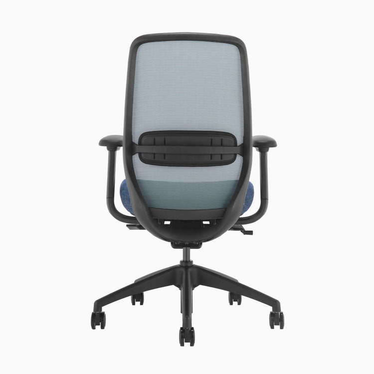 Blue ergonomic coilflex chair 