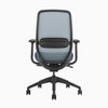 Blue ergonomic coilflex chair 