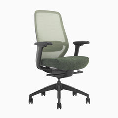 Ergonomic coilflex chair no headrest in green