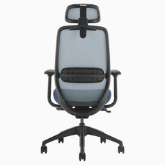 Blue coilflex spring mechanism ergo chair