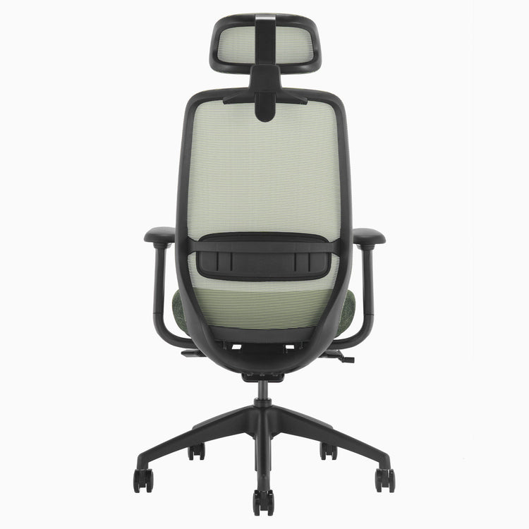 Desky green coilflex cushion