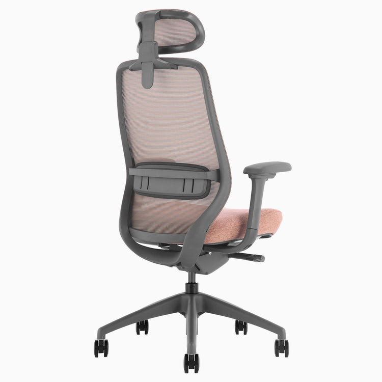 All day comfort ergonomic chair coilflex technology - Desky