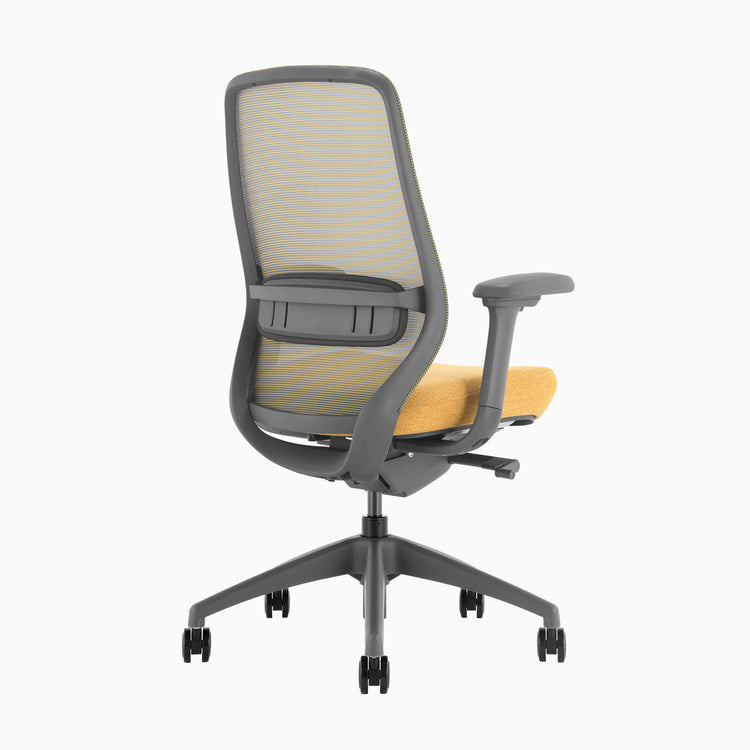 Desky Coilflex Ergonomic Office Chair