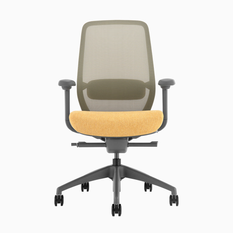 Desky Coilflex Ergonomic Office Chair