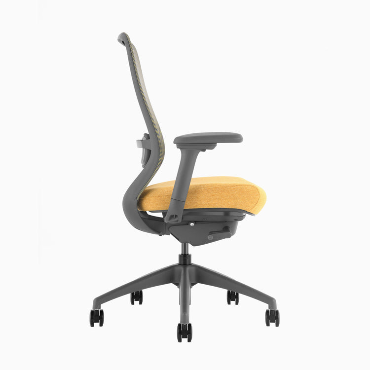 Desky Coilflex Ergonomic Office Chair