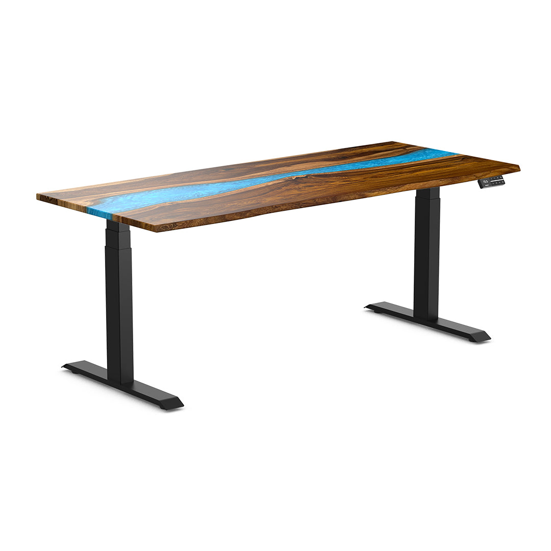 Desky Dual Resin Hardwood Standing Desk