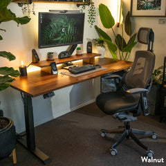 Desky Dual Walnut Hardwood Sit Stand Desk